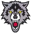 Wolfe Wittstock